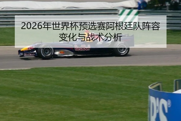 2026年世界杯预选赛阿根廷队阵容变化与战术分析