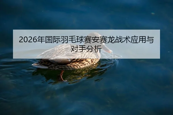 nian-guo-ji-yu-mao-qiu-sai-an-sai-long-zhan-shu-ying-yong-yu-dui-shou-fen-xi-2-878.jpg