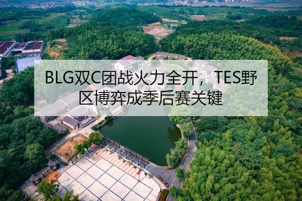 BLG双C团战火力全开，TES野区博弈成季后赛关键
